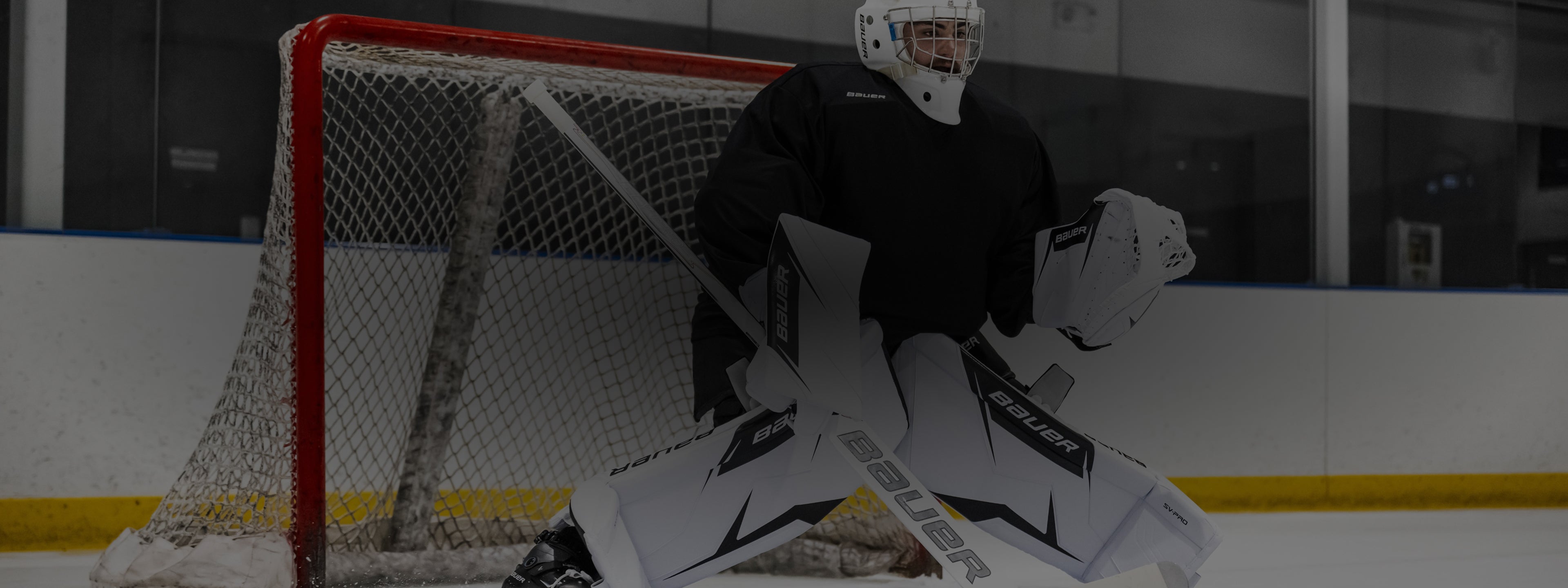 Custom SV-Pro Goal Gear