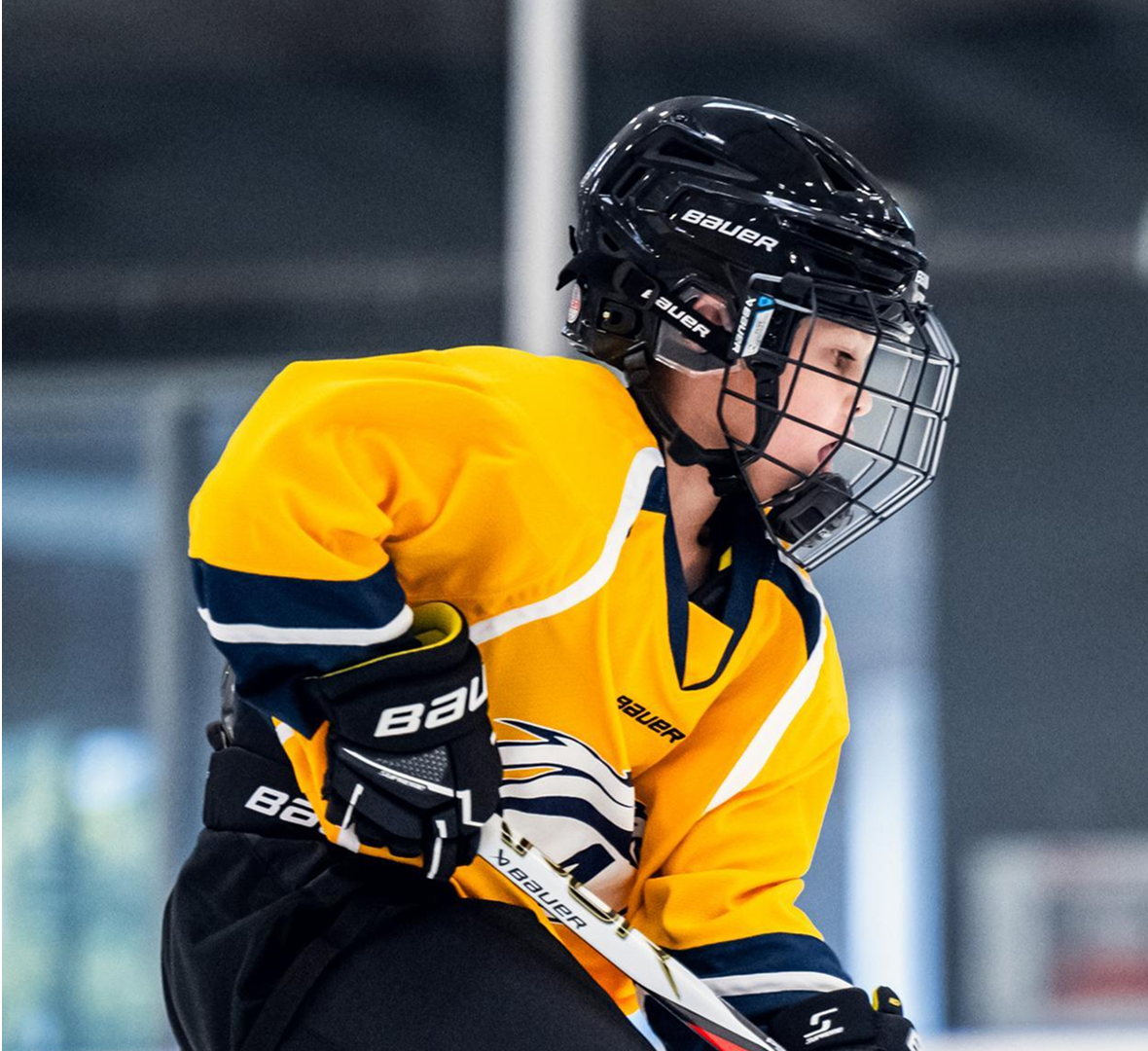 Ice Hockey Helmets